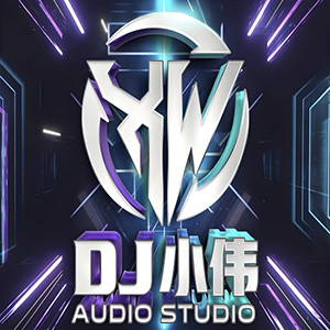 Dj小伟